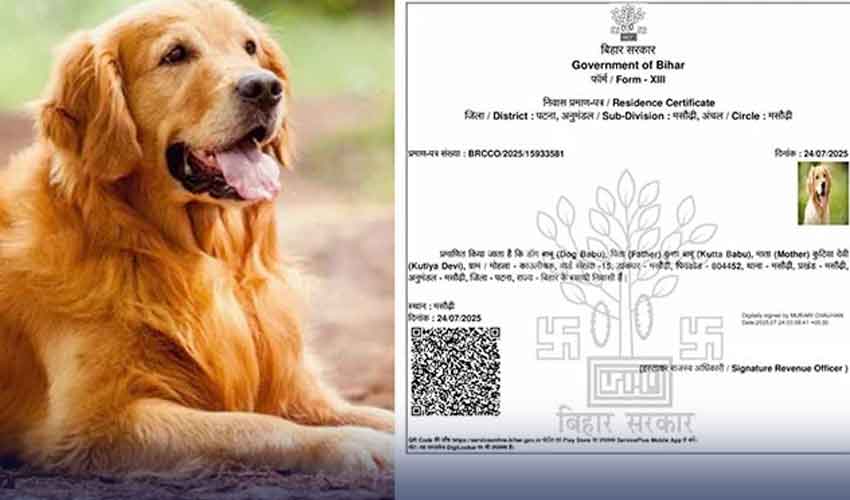 ووٹر لسٹوں کی نظرثانی کے دوران کتے کا رہائشی سرٹیفکیٹ منظرعام پر آگیا