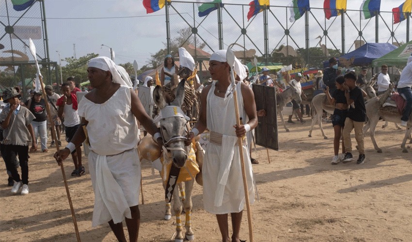 کولمبیا میں گدھوں کو خراج تحسین پیش کرنے کےلیے منفرد تہوار کا انعقاد