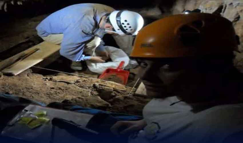 لاکھوں سال پرانا راز: قدیم انسان بچوں کو کھاتے تھے، تحقیق میں انکشاف