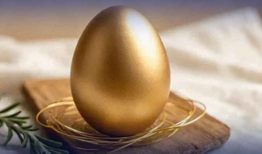 چور نے پولیس سے بچنے کے لیے ’’سونے کا انڈا‘‘ نگل لیا