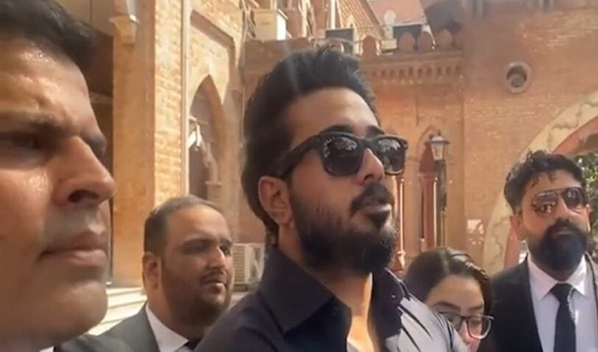 hamza habib