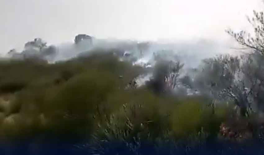 مالاکنڈ ، باٹا پہاڑی جنگل میں لگی آگ نے 6 کلومیٹر رقبہ لپیٹ میں لے لیا