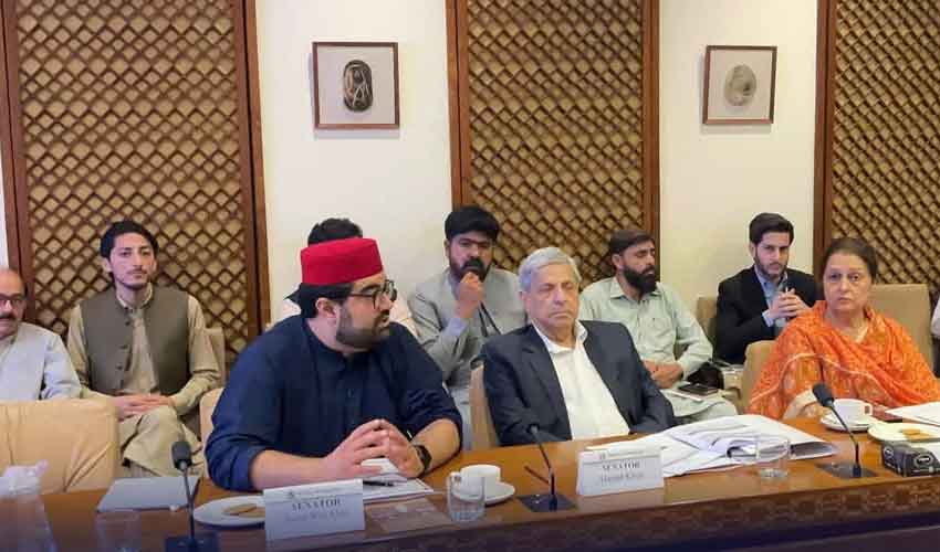 ایمل ولی خان نے چیئرمین پی ٹی اے کیخلاف تحریک استحقاق پیش کر دی