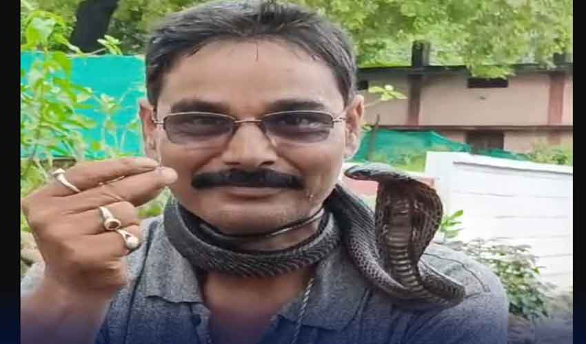 کوبرا ریسکیو کر کے گلے میں لپیٹنے والا شخص سانپ کے کاٹنے سے ہلاک