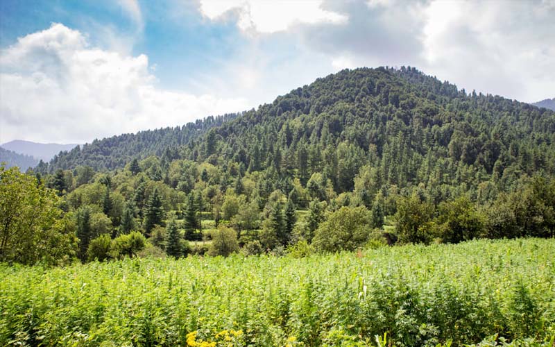 خیبرپختونخوا کی حسین وادی تیراہ، دہشت گردوں اور منشیات مافیا کی محفوظ پناہ گاہ بن گئی